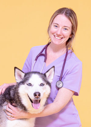 Vet Explains: What are high liver enzymes in dogs?