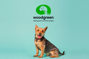 Pooch & Mutt X Woodgreen Pets Charity