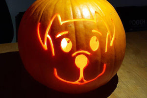 What to do with your Halloween Pumpkin