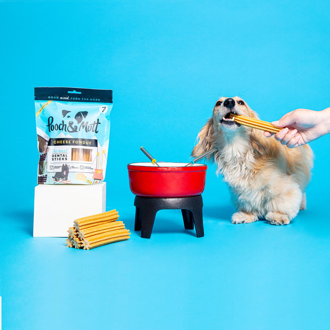 Christmas Cheese Fondue Dental Sticks For Dogs