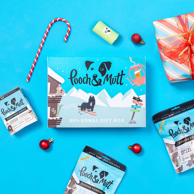 Ski-sonal Dog Christmas Gift Box