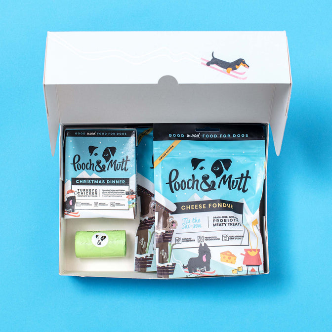 Ski-sonal Dog Christmas Gift Box