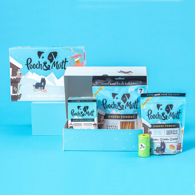 Ski-sonal Dog Christmas Gift Box