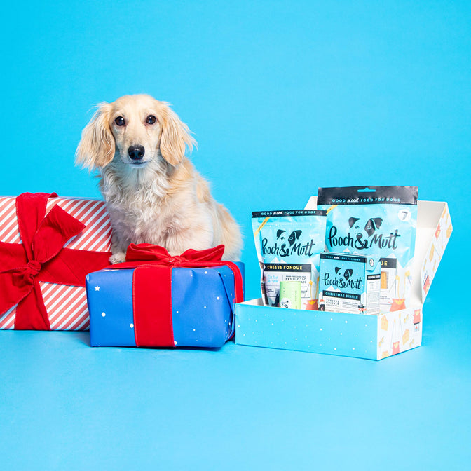 Ski-sonal Dog Christmas Gift Box