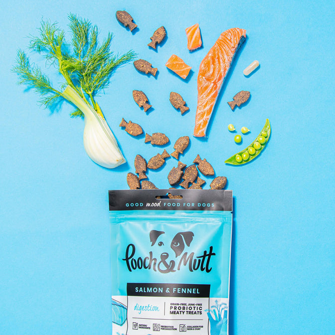 Health & Digestion Probiotic Fish Treats