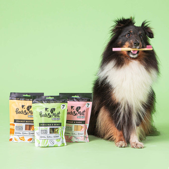 Dental Stick Bundle For Dogs