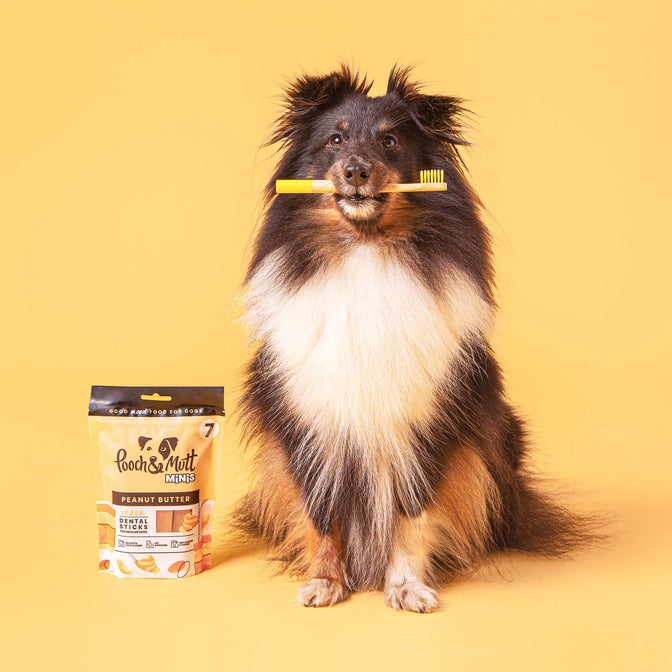 Peanut Butter Dental Sticks For Dogs