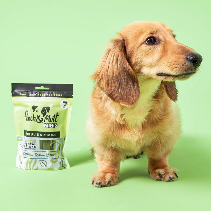 Superfood Dental Sticks For Dogs