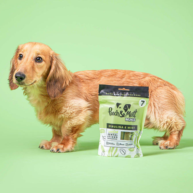 Superfood Dental Sticks For Dogs