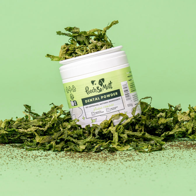 Dental Powder For Dogs