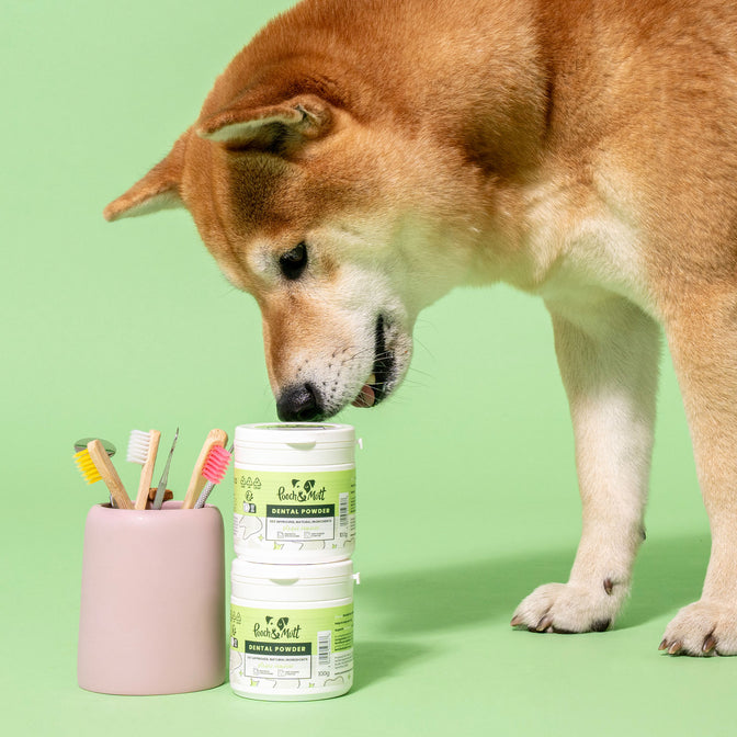 Dental Powder For Dogs