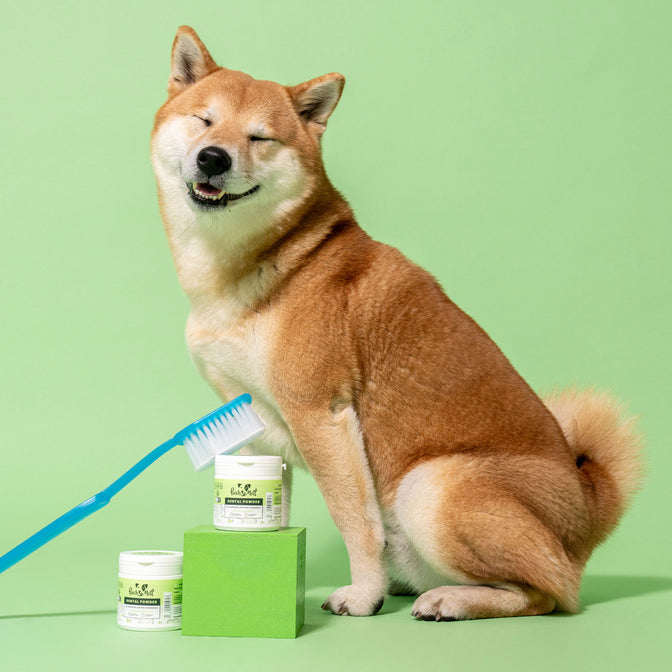 Dental Powder For Dogs
