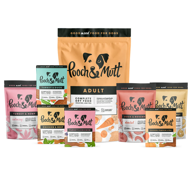 Adult Complete Bundle