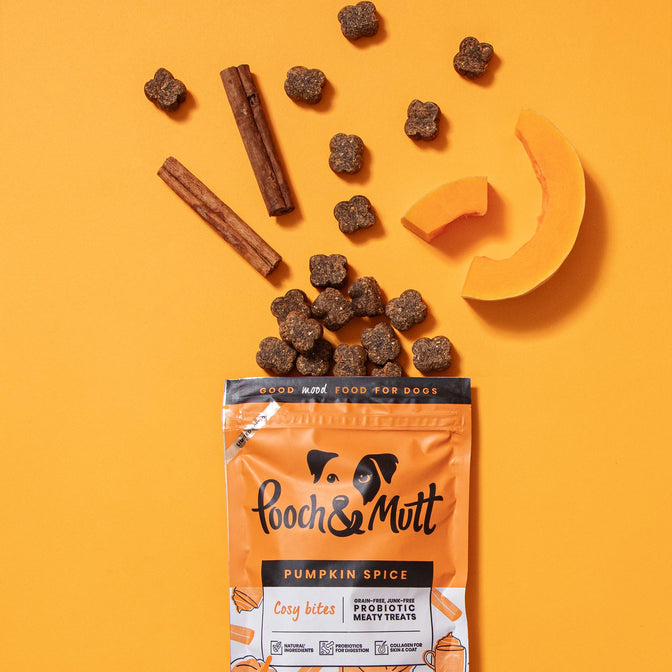 Pumpkin Spice Probiotic Meaty Treats