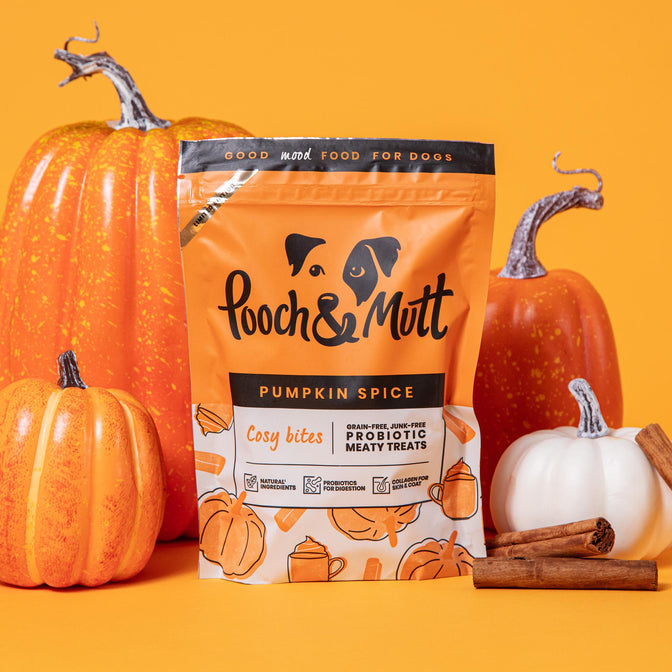 Pumpkin Spice Probiotic Meaty Treats