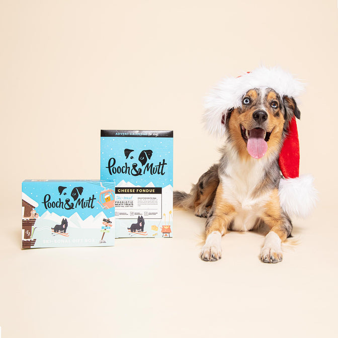 Christmas Dog Bundle