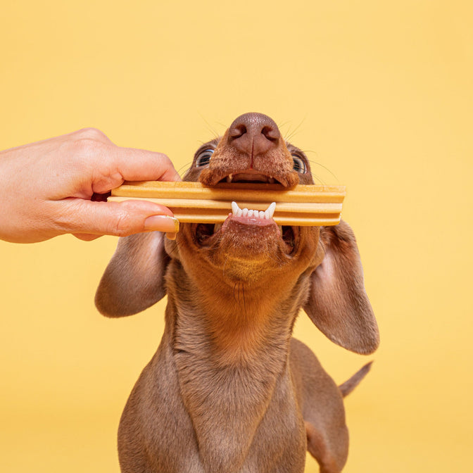 Dental Stick Bundle For Dogs