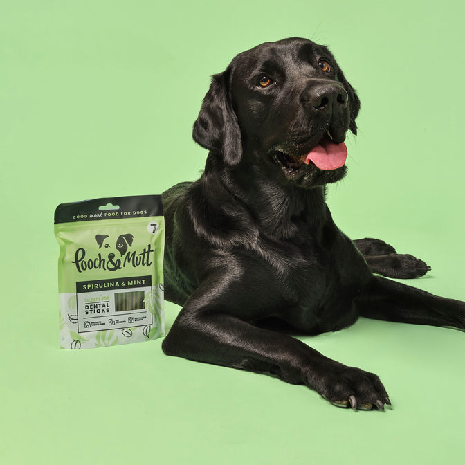 Superfood Dental Sticks For Dogs