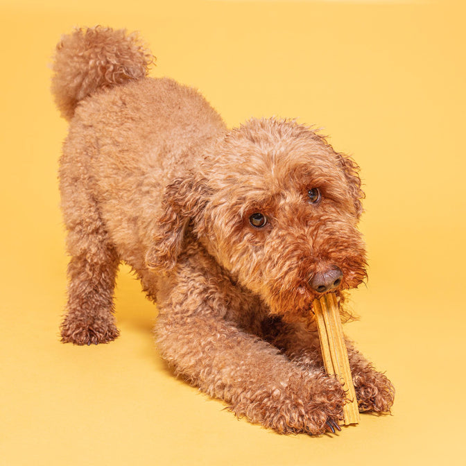 Peanut Butter Dental Sticks For Dogs