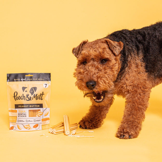 Peanut Butter Dental Sticks For Dogs